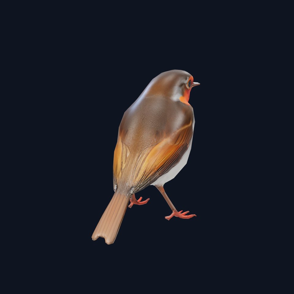 Vibrant Robin Bird model pack