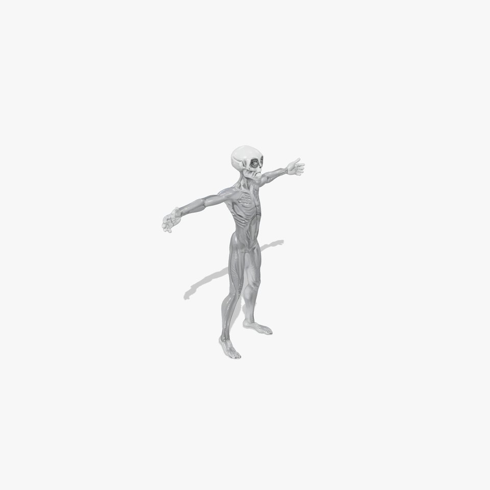 Grey Alien Character model pack