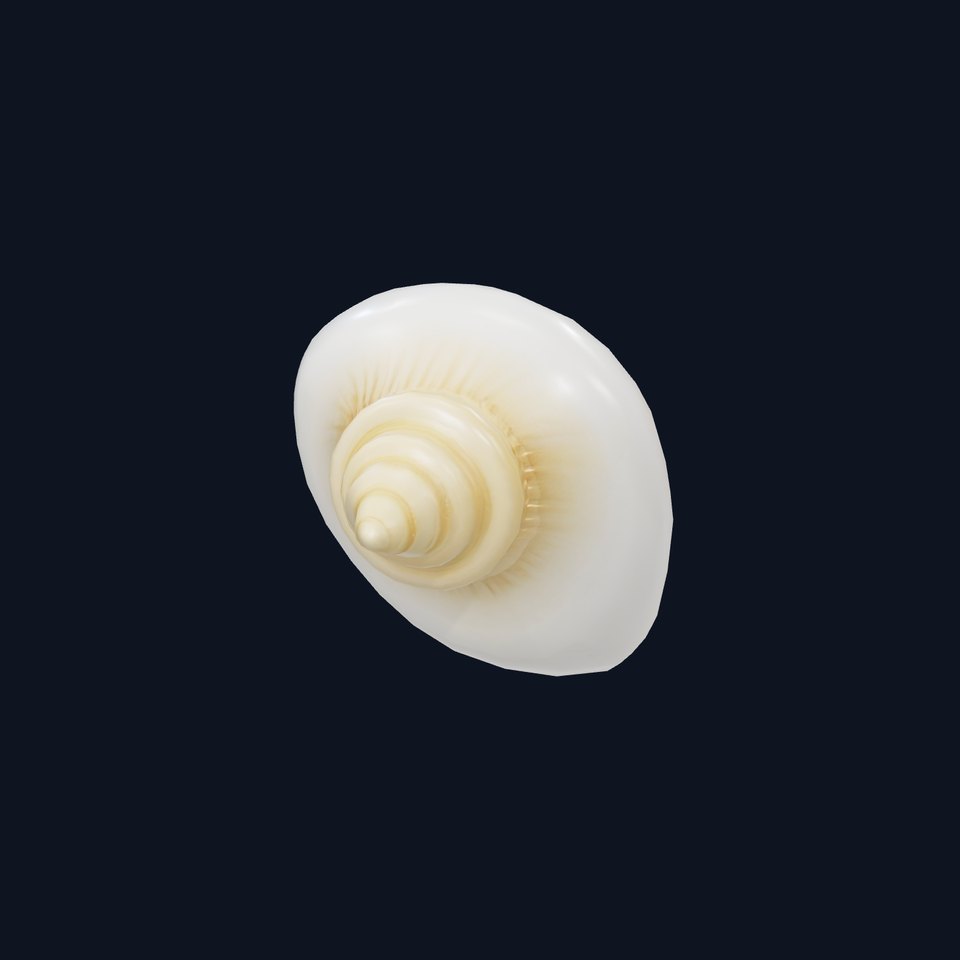 Elegant Ivory Seashell model pack