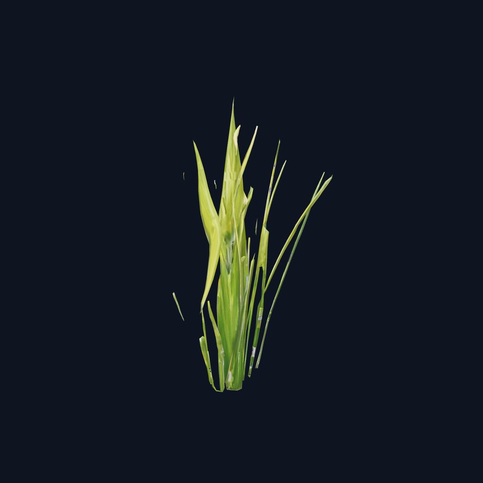 Tall Grass Foliage model pack