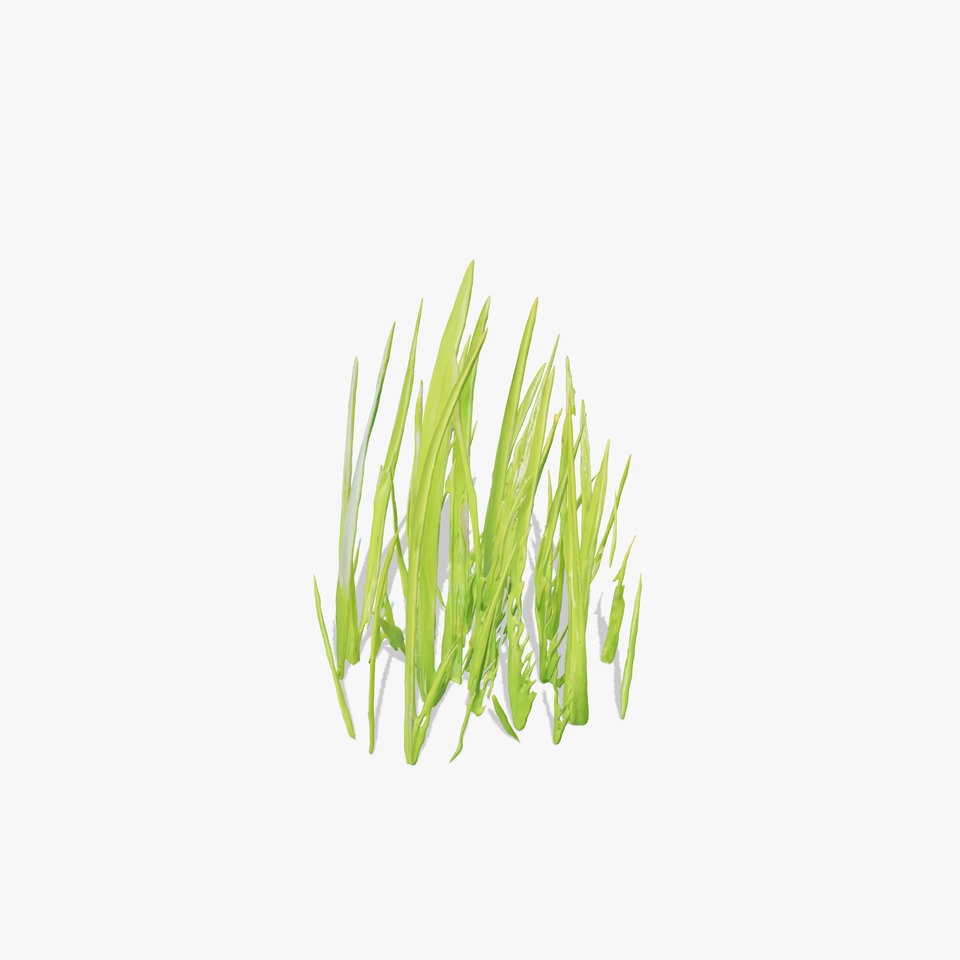 Lush Grass Blades model pack