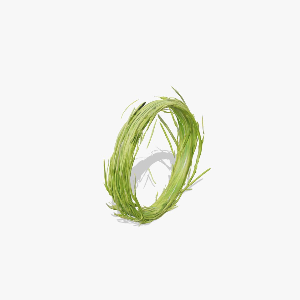 Green Grass Wreath model pack