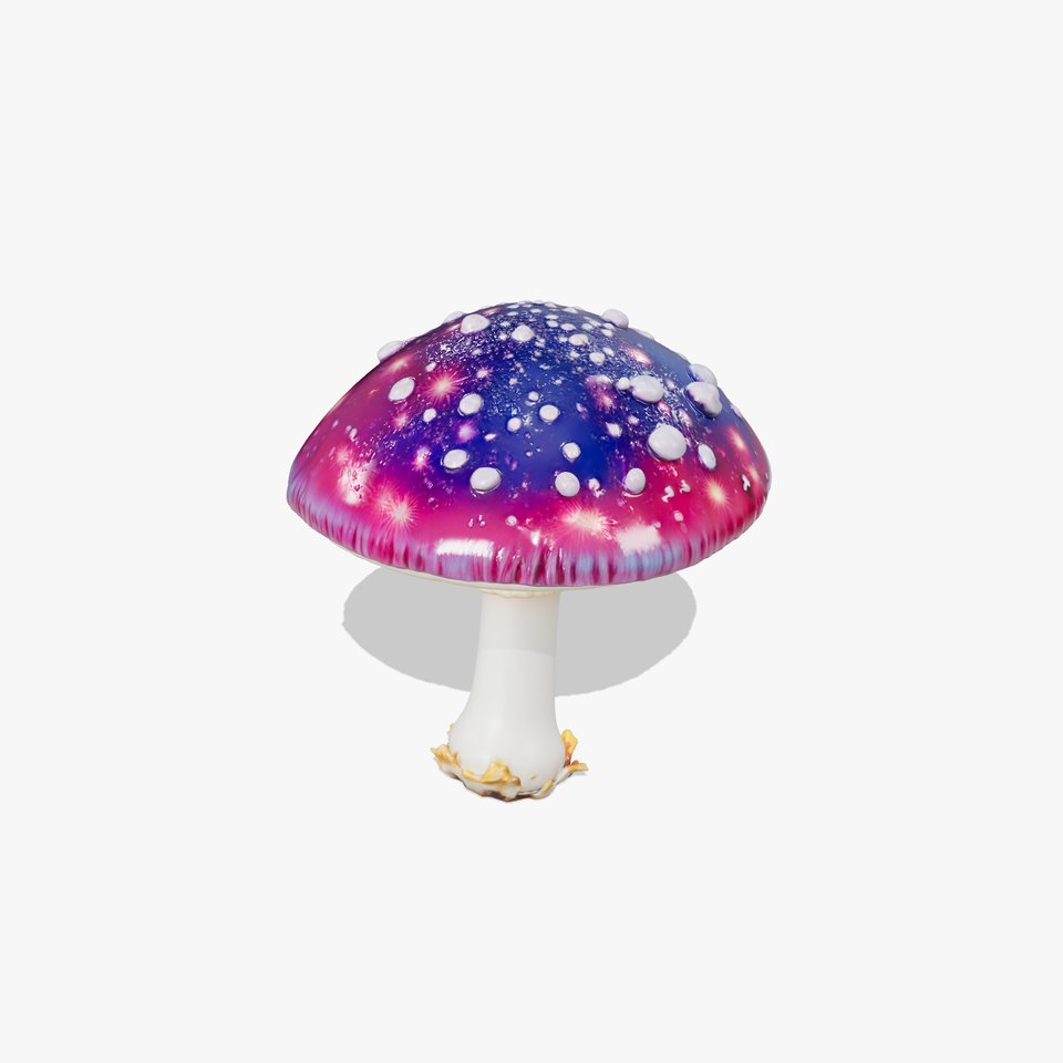 Galaxy Mushroom model pack