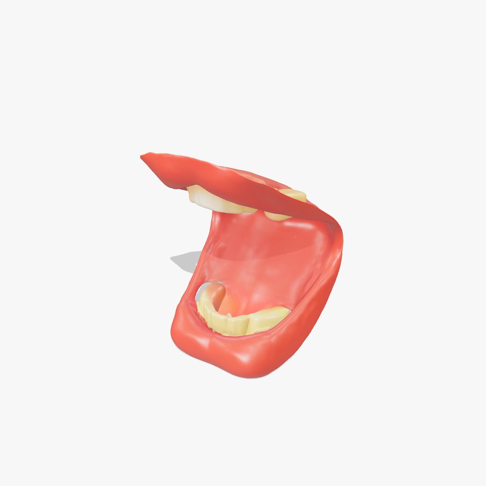 Realistic Mouth Expression model pack