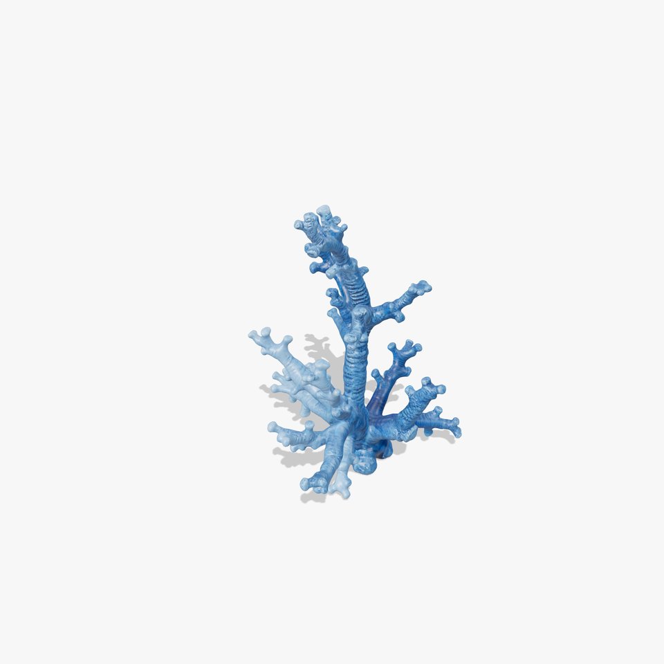 Blue Coral Sculpture model pack