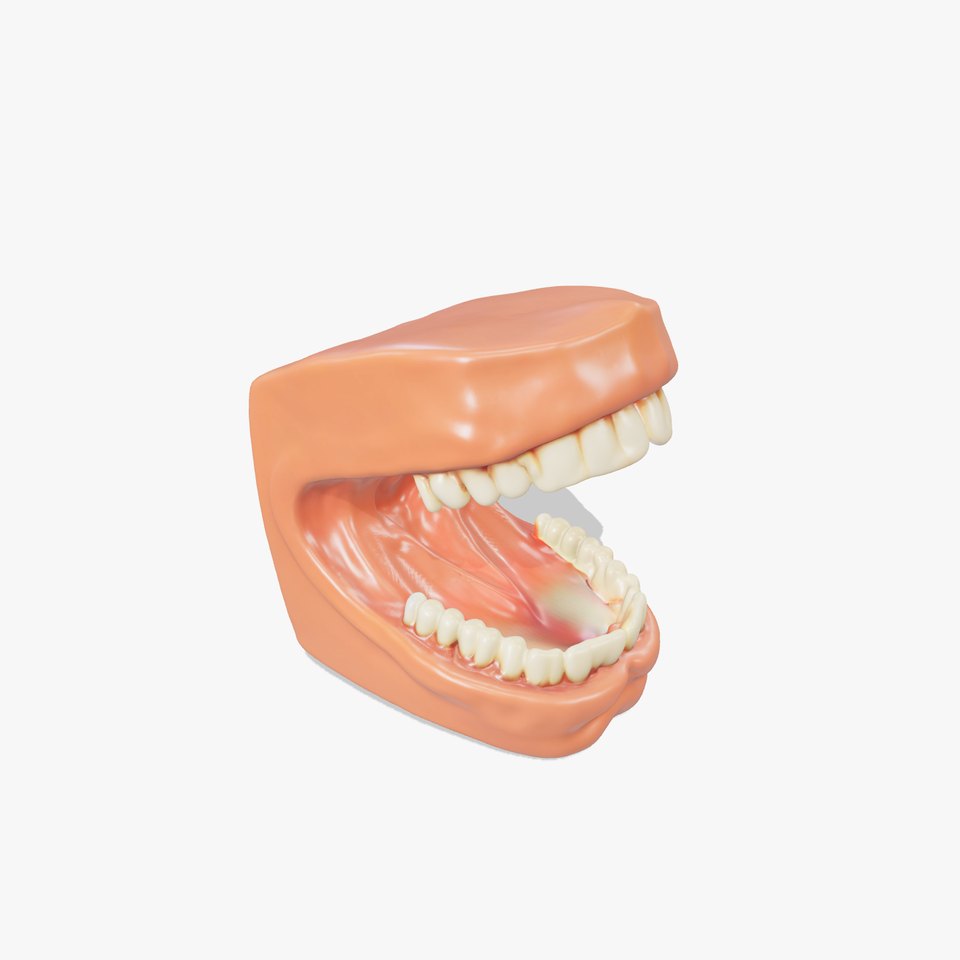Realistic Dentist Teeth model pack
