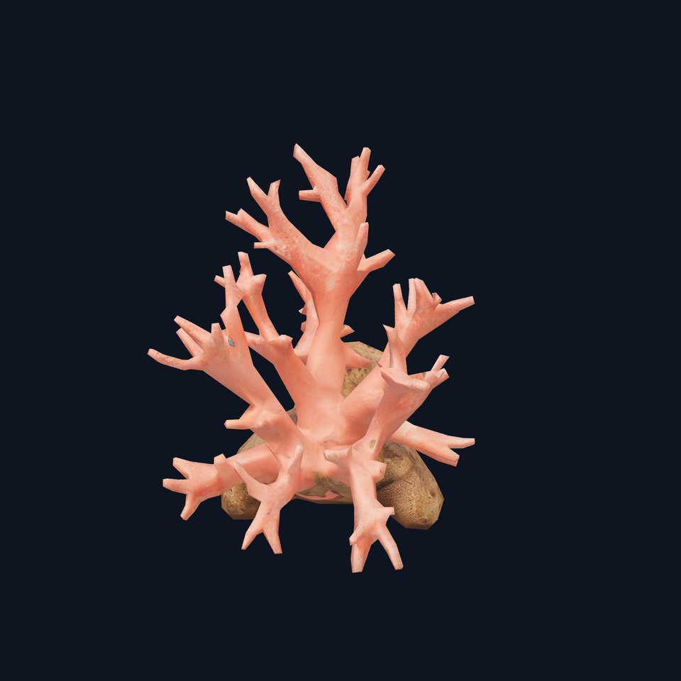Pink Coral Reef model pack