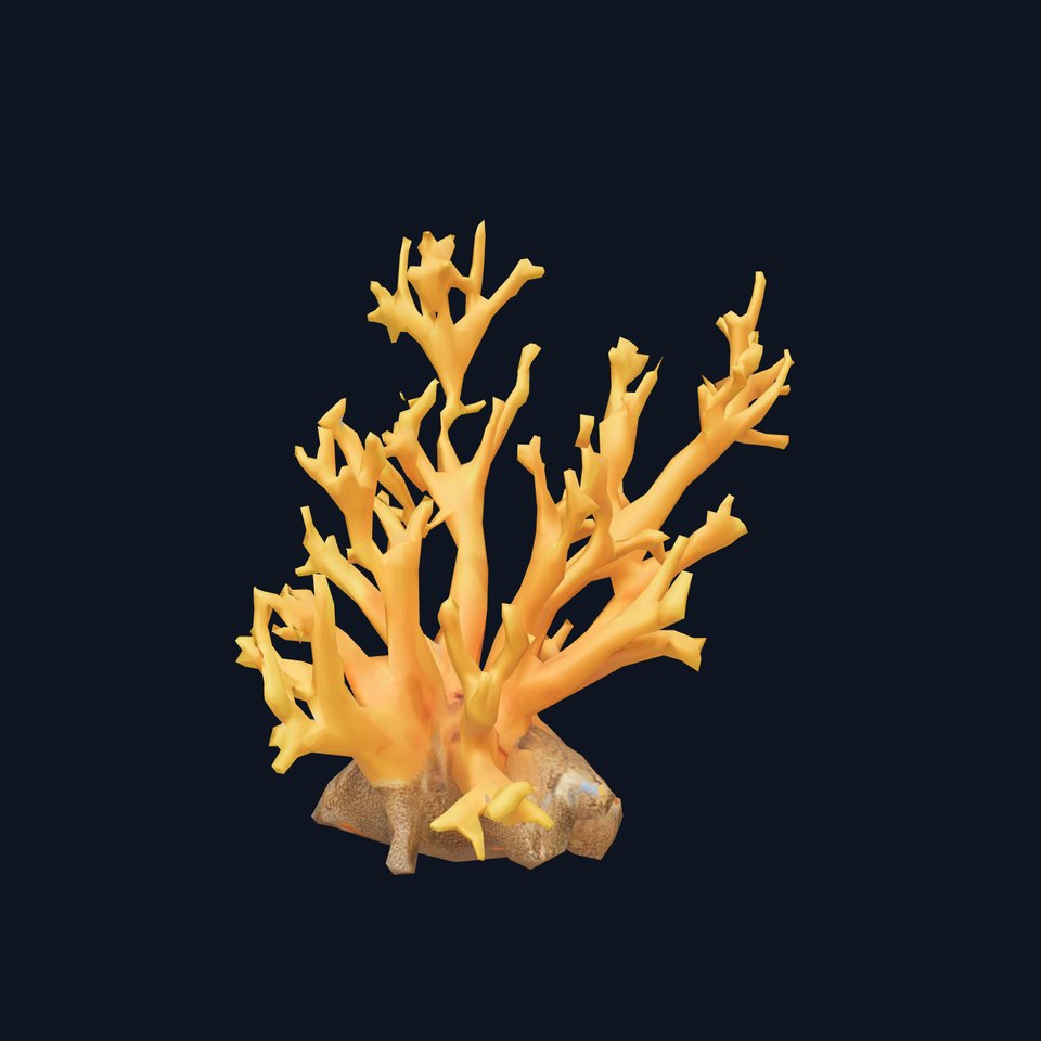 Vivid Coral Reef model pack