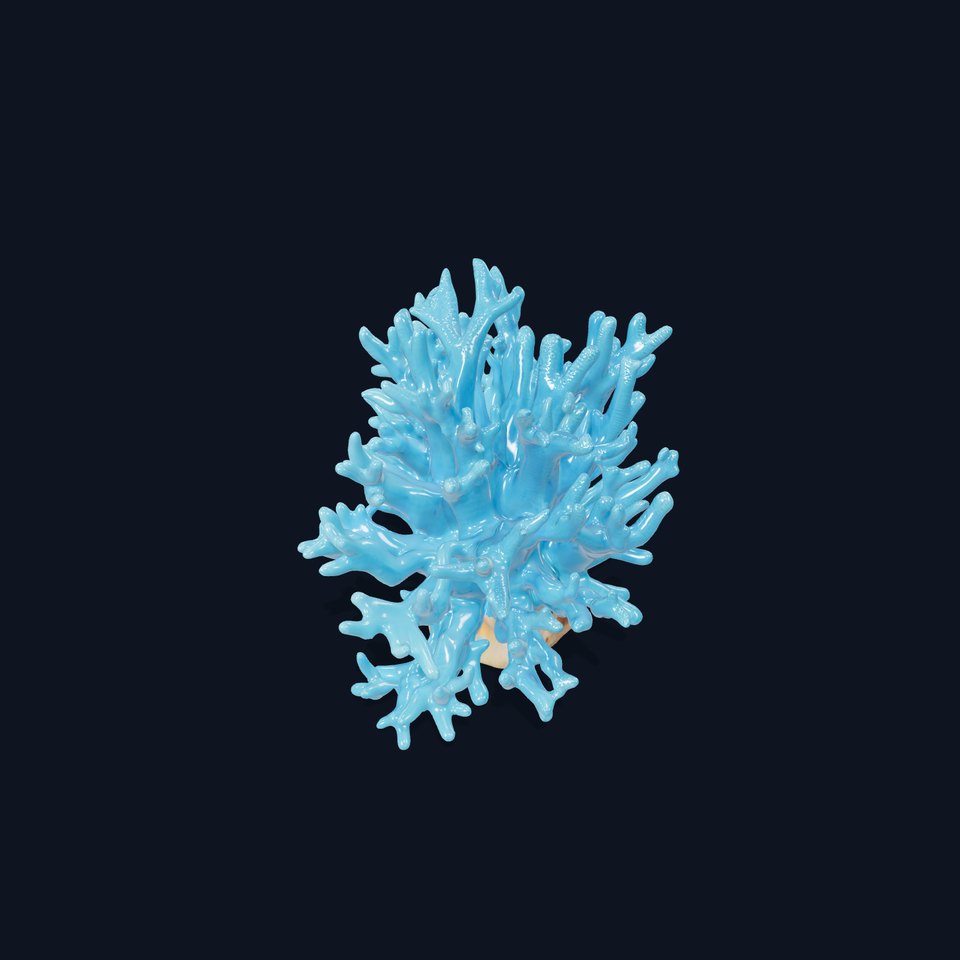 Vibrant Coral Reef model pack