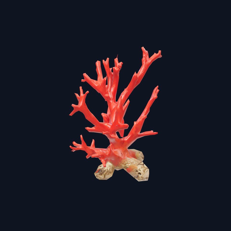 Red Coral Reef model pack