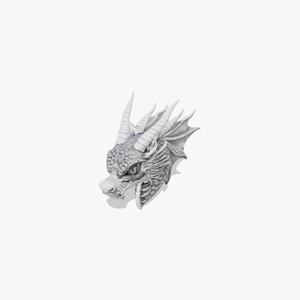 Silver Dragon Head model pack