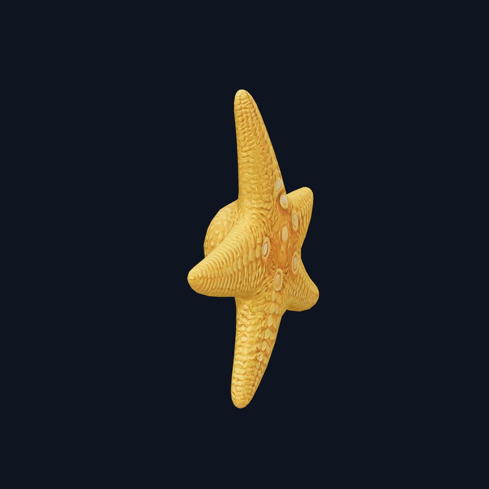 Textured Starfish model pack