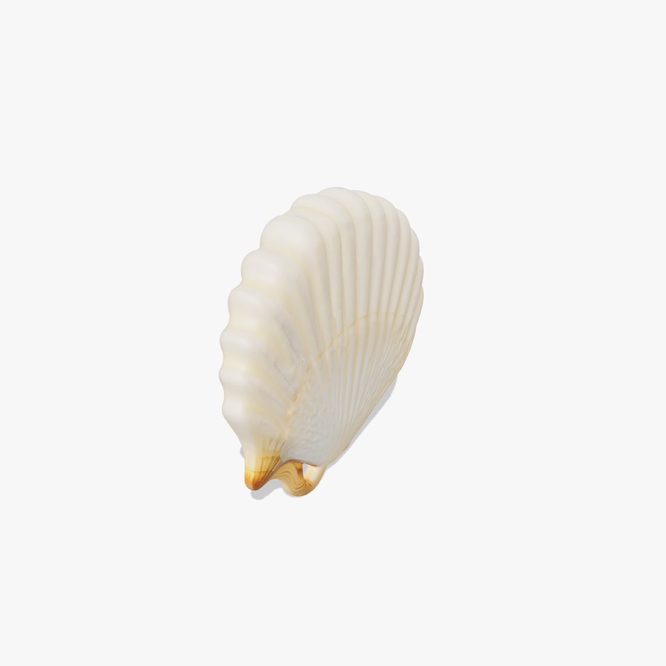 Cream Seashell model pack