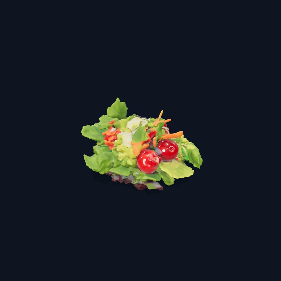 Fresh Garden Salad model pack