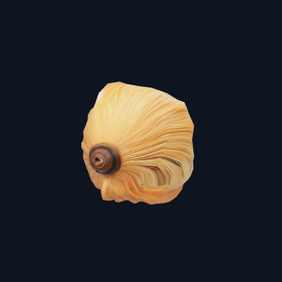 Textured Seashell model pack