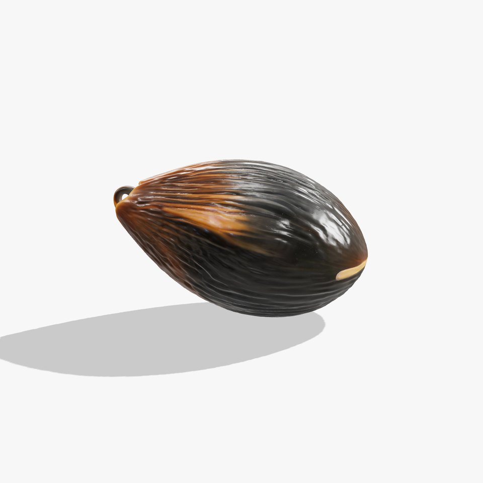 Glossy Black Capsule model pack