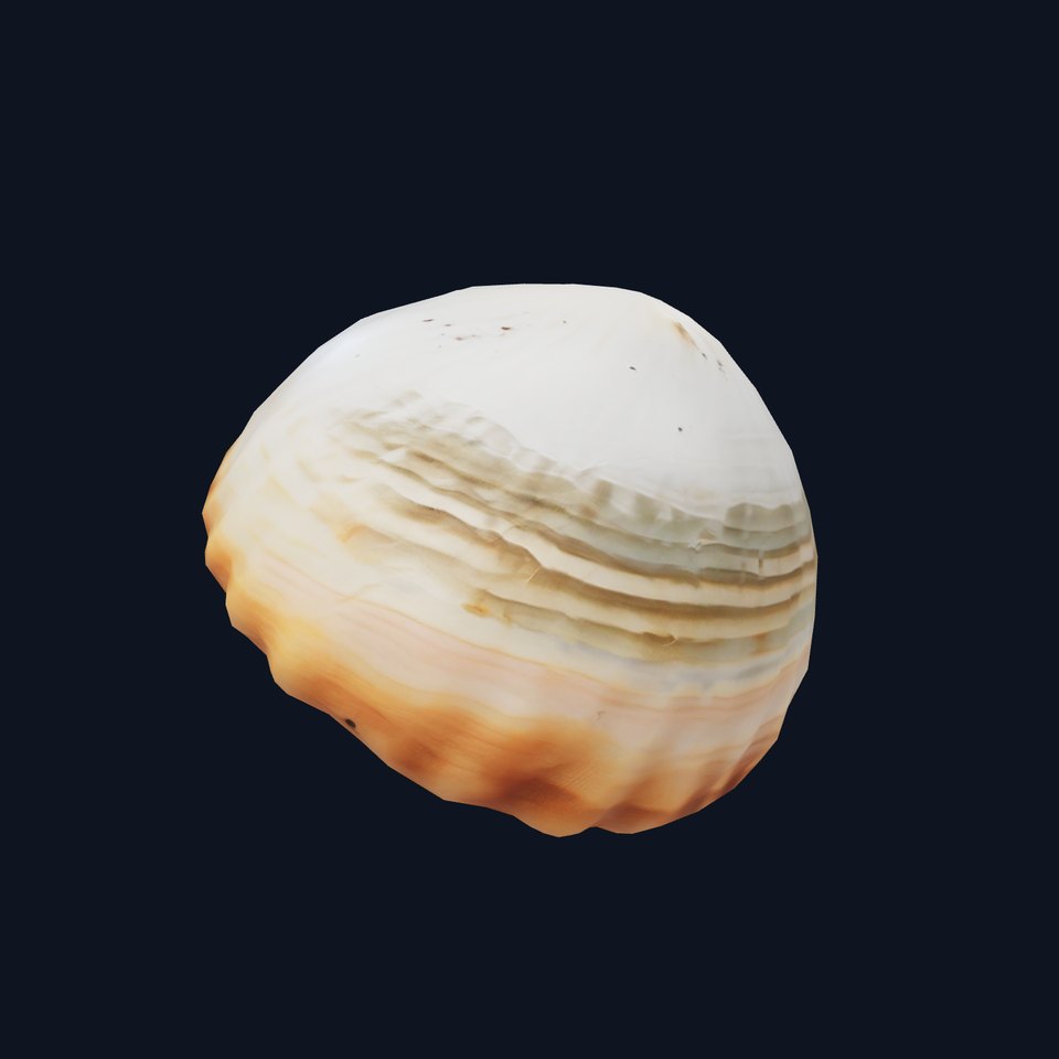 Striped Seashell Texture model pack
