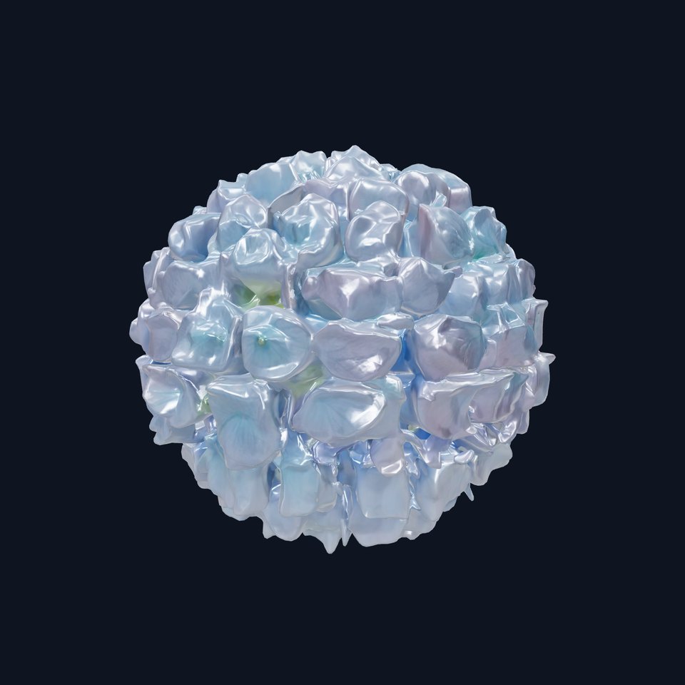 Hydrangea Blossom model pack