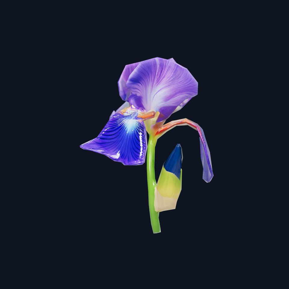 Vibrant Iris Flower model pack