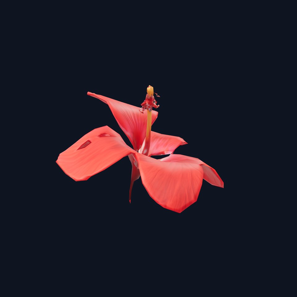 Vibrant Red Hibiscus model pack