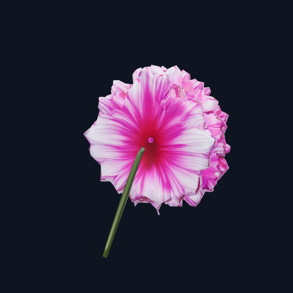 Vibrant Dahlia Flower model pack