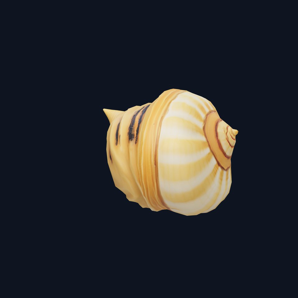 Spiral Seashell Natural model pack