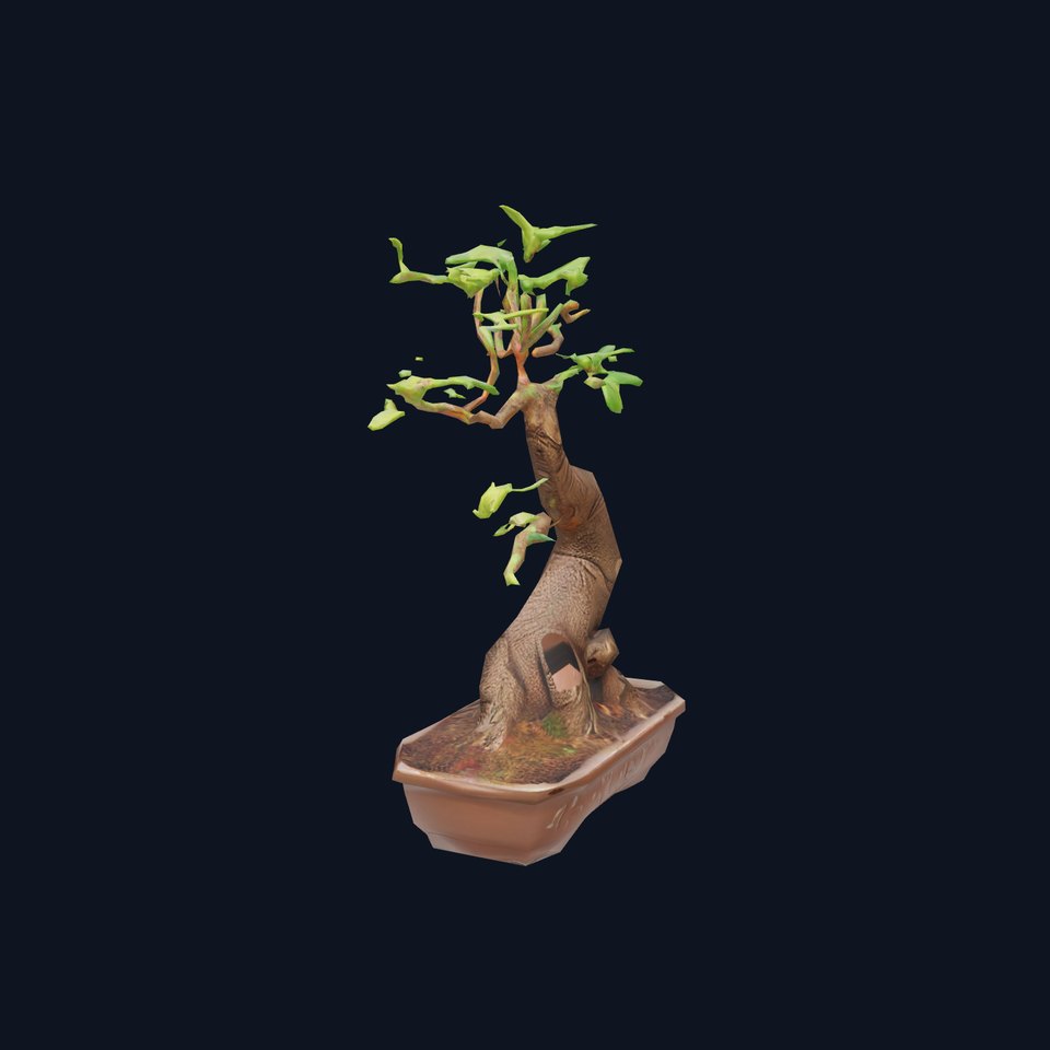 Elegant Bonsai Tree model pack