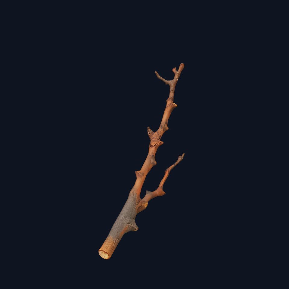 Natural Wooden Branch model pack