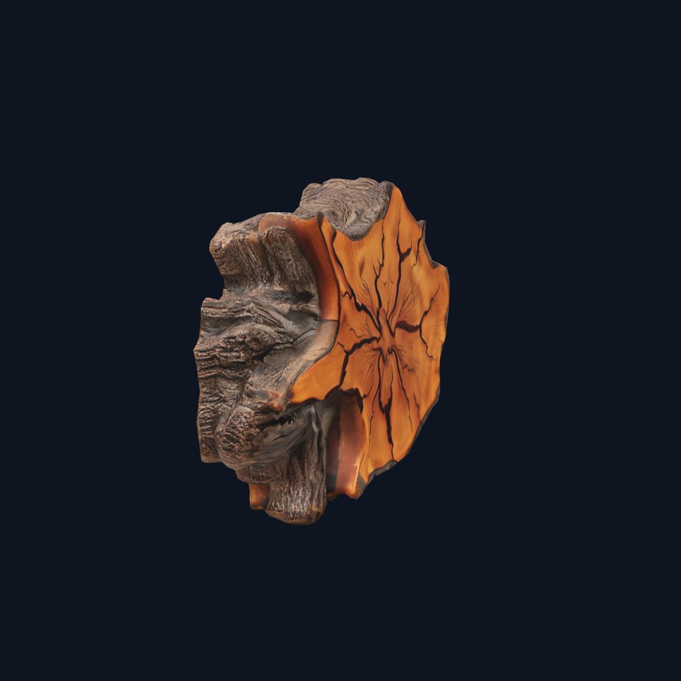 Rustic Tree CrossSection model pack