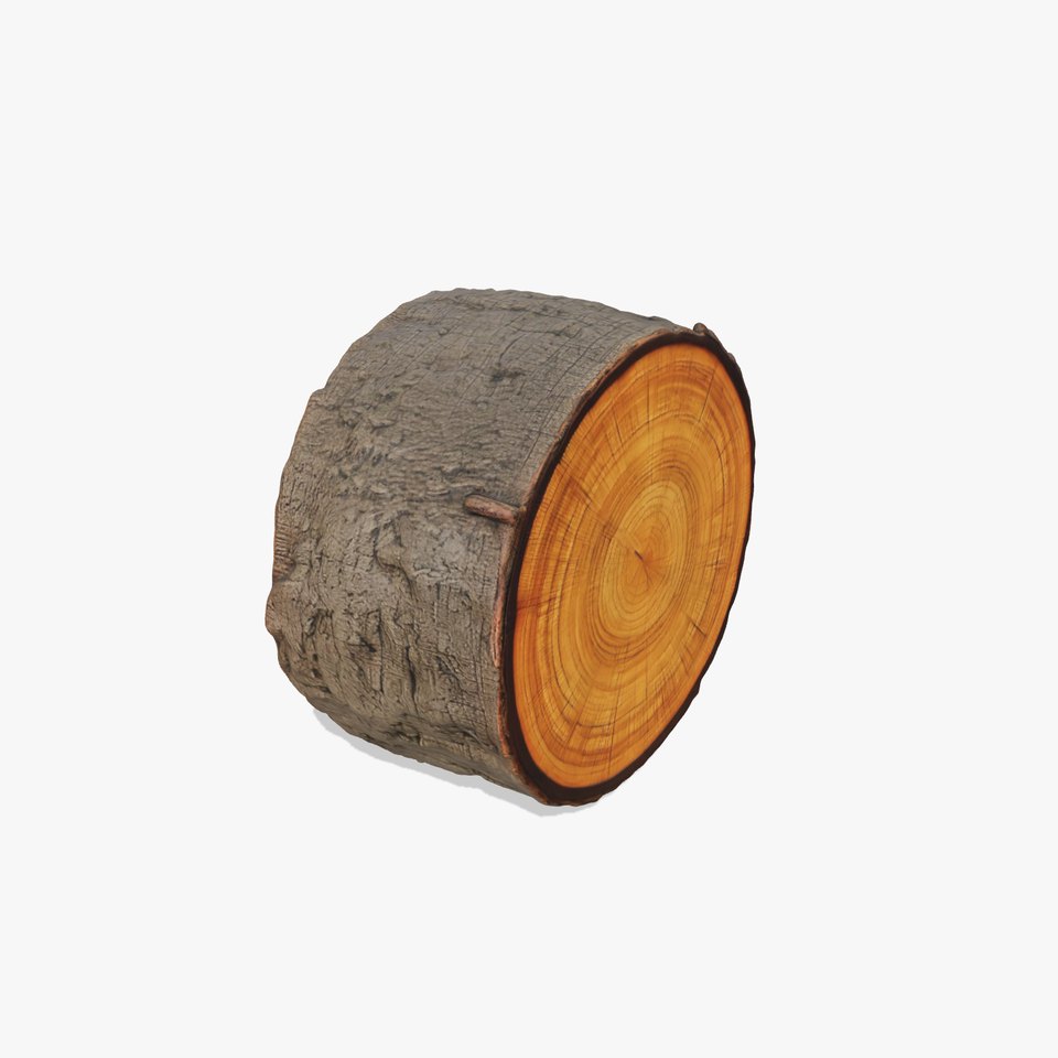 Natural Oak Tree Slice model pack
