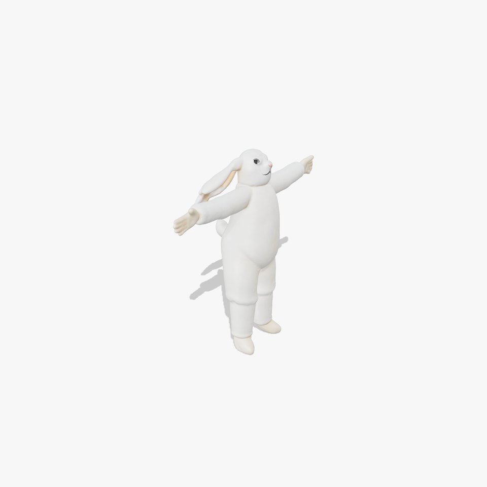 Soft White Rabbit model pack