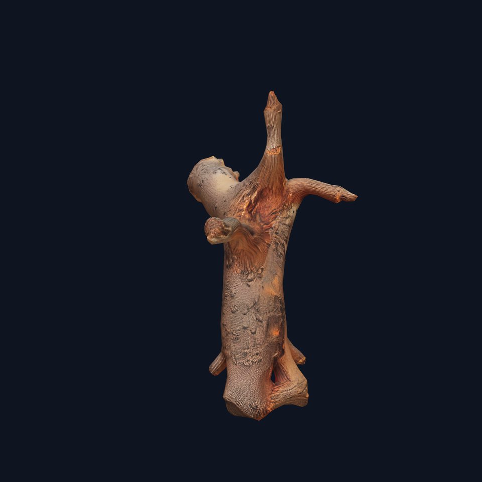 Rustic Tree Branch model pack