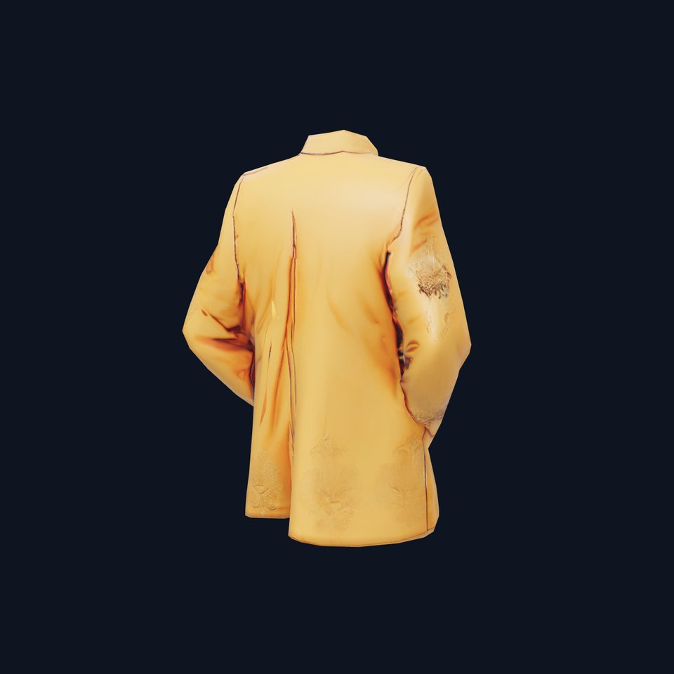 Golden Embroidered Jacket model pack