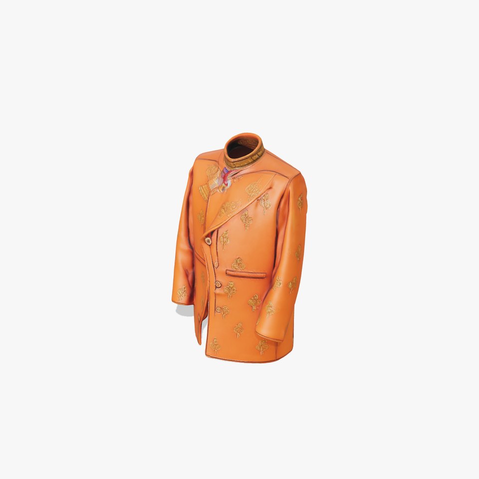 Golden Embroidered Jacket model pack