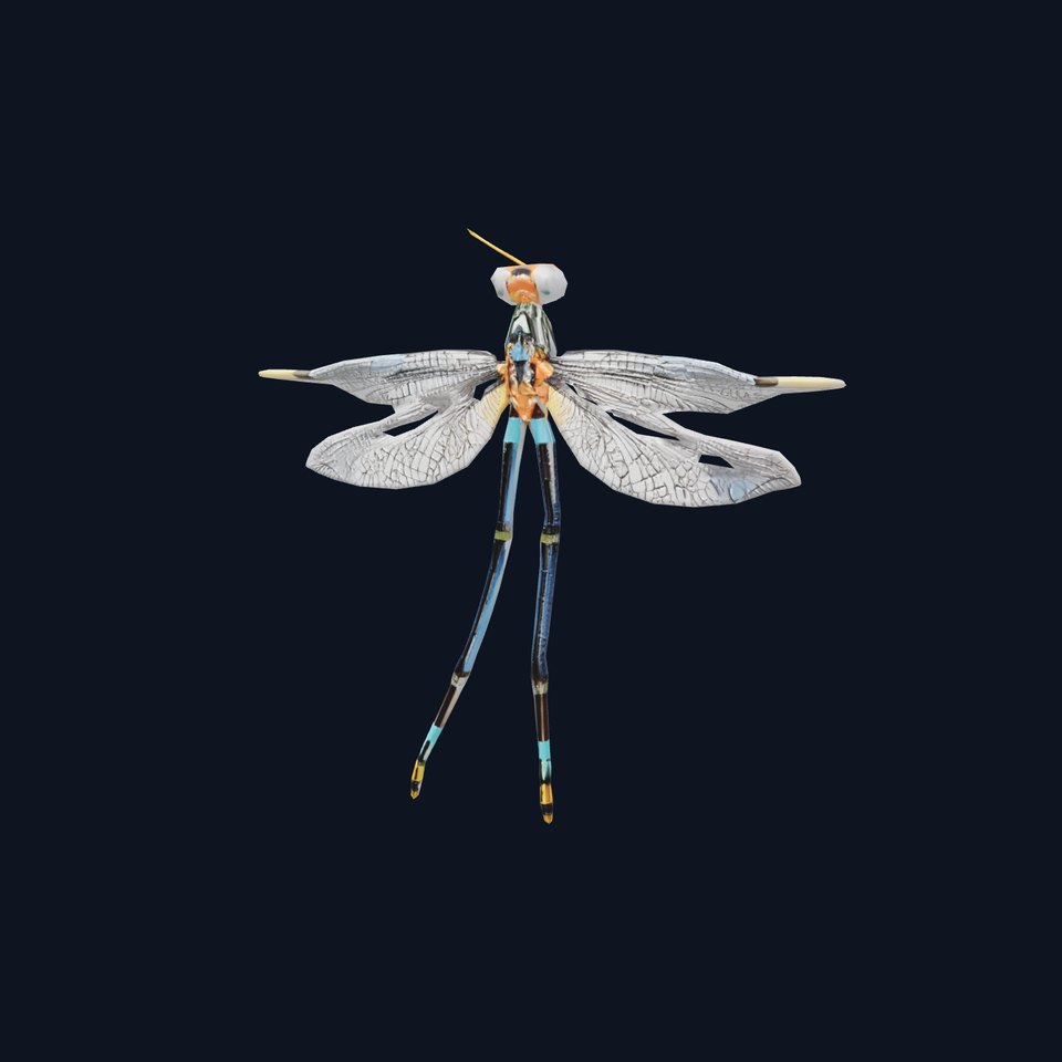 Vibrant Dragonfly model pack
