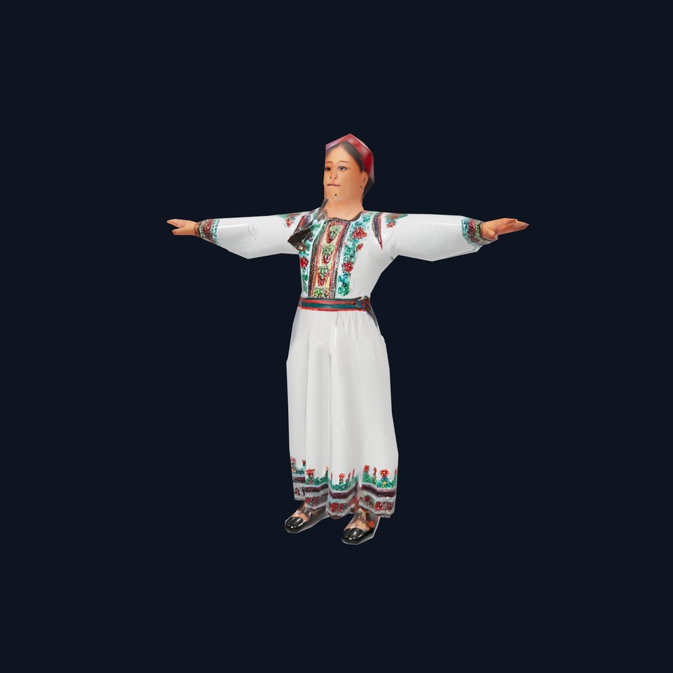 Traditional Embroidered Dress model pack