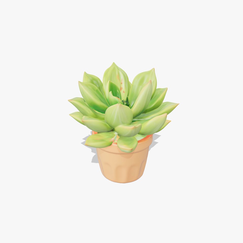 Vibrant Green Succulent model pack