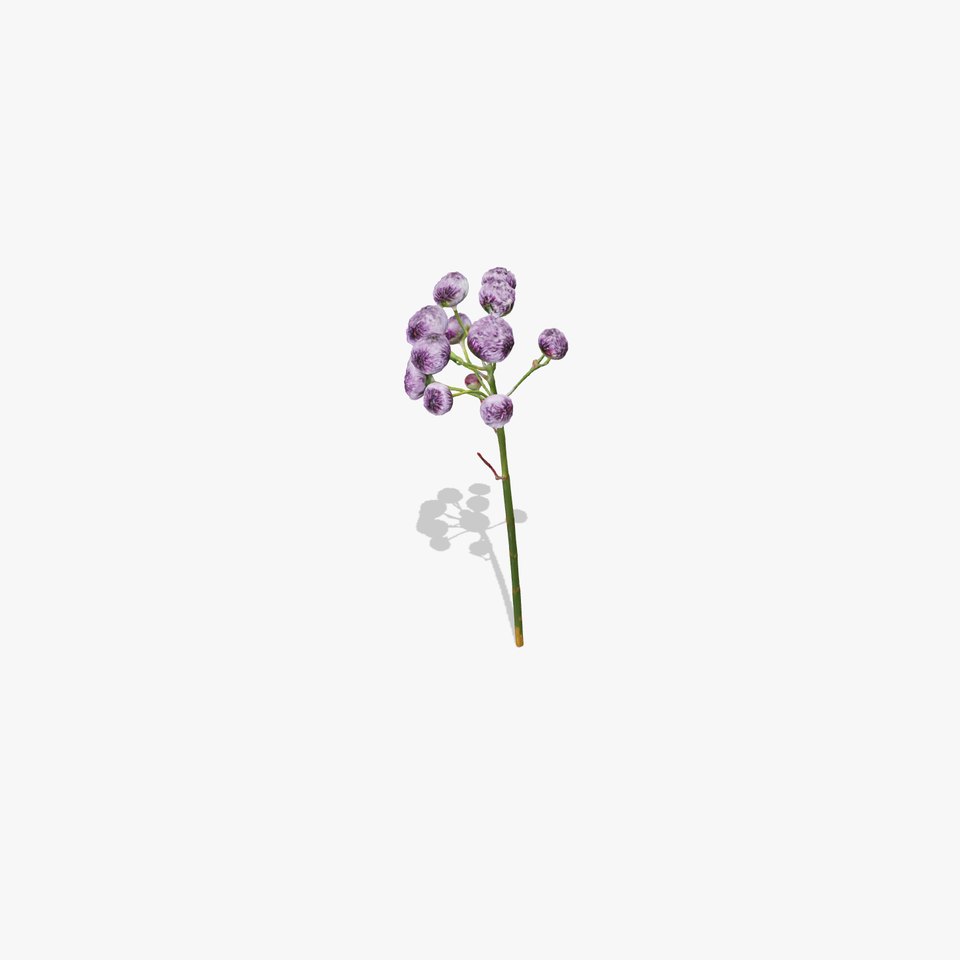 Purple Thistle model pack