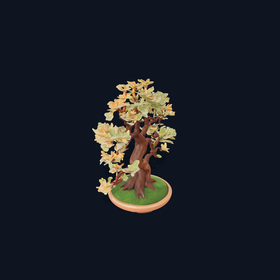 Realistic Bonsai Tree model pack