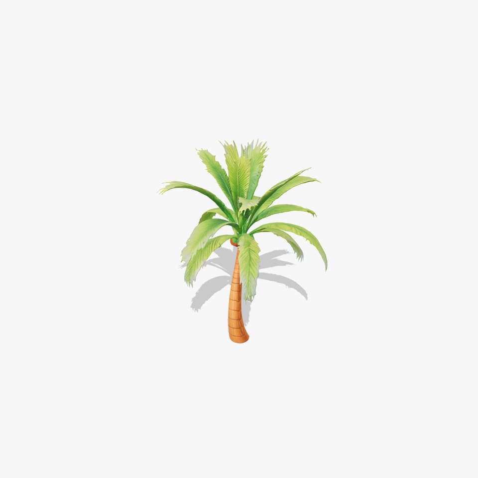 Tropical Palm Tree model pack