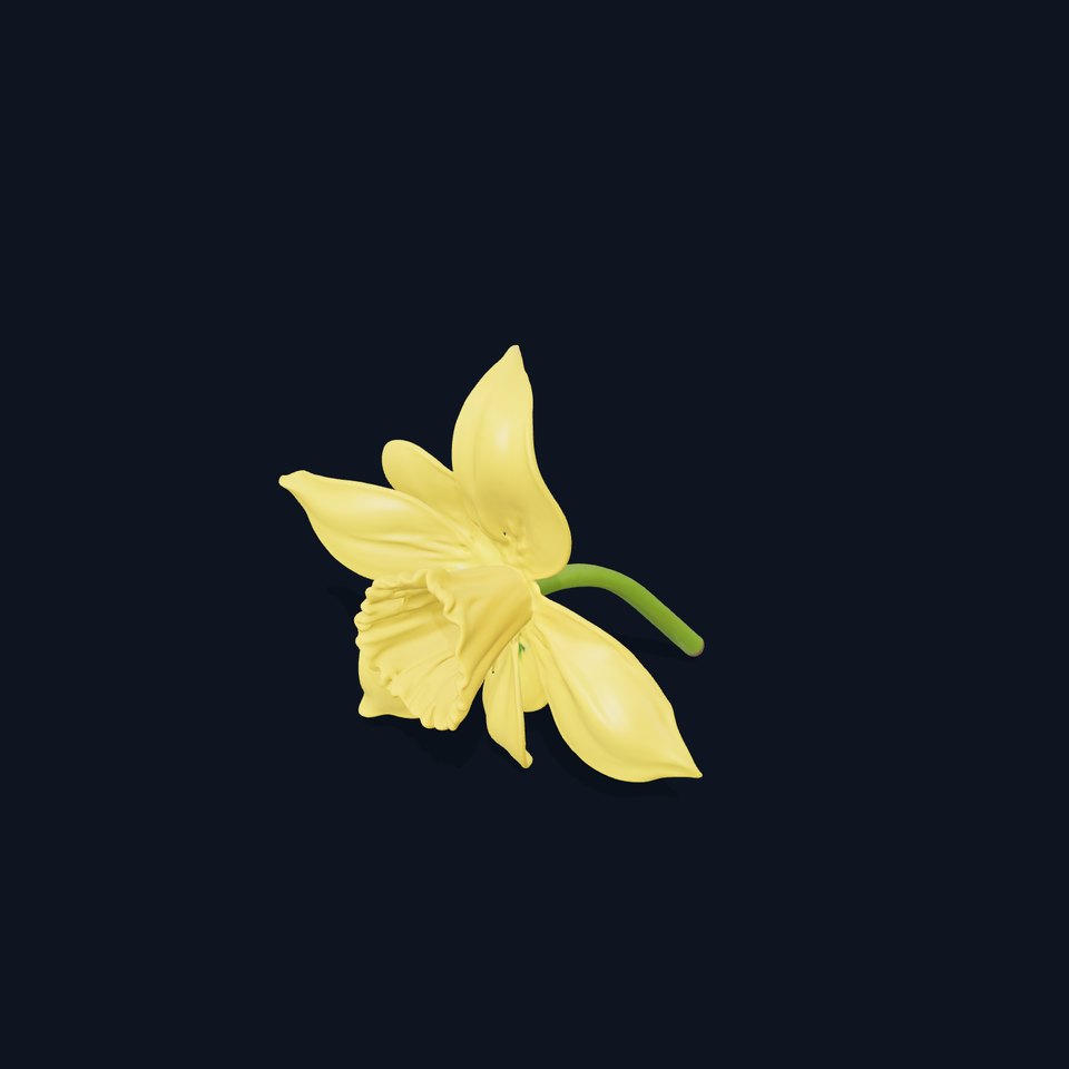Bright Daffodil model pack