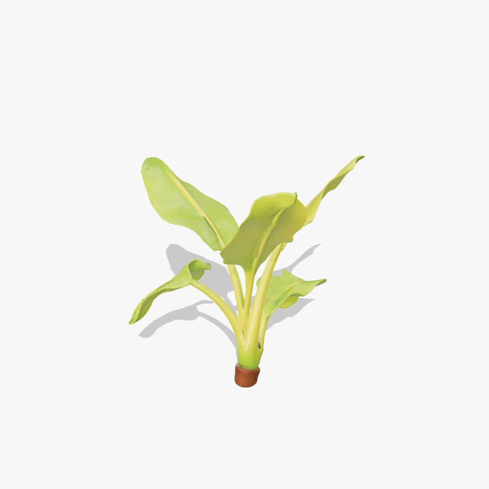 Bright Banana Leaf model pack