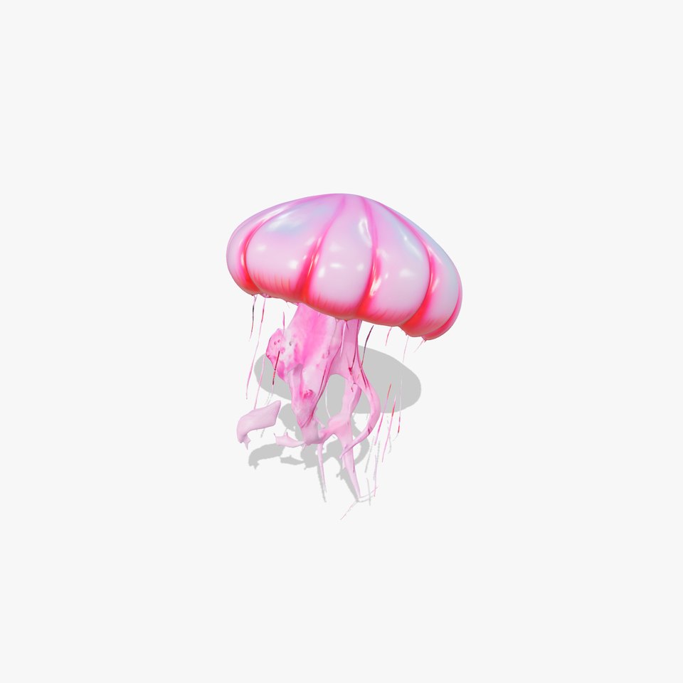 Vibrant Jellyfish model pack