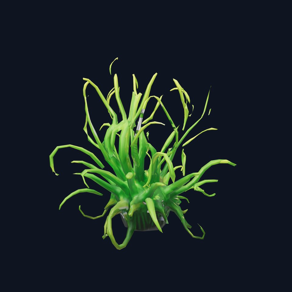 Vibrant Green Sea Anemone model pack