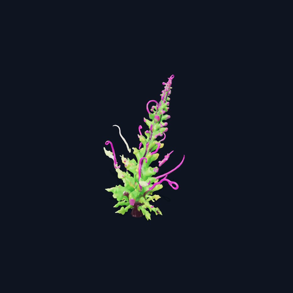 Vivid Fern Flora model pack