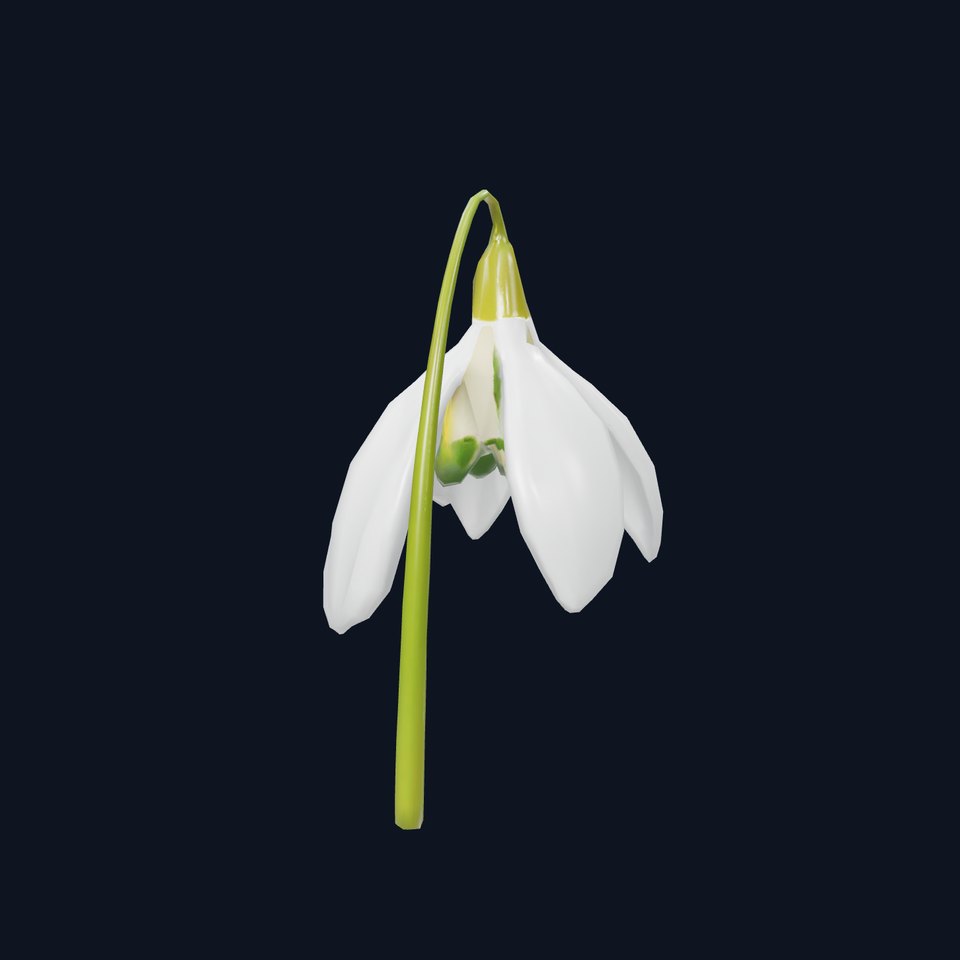 Elegant Snowdrop Flower model pack