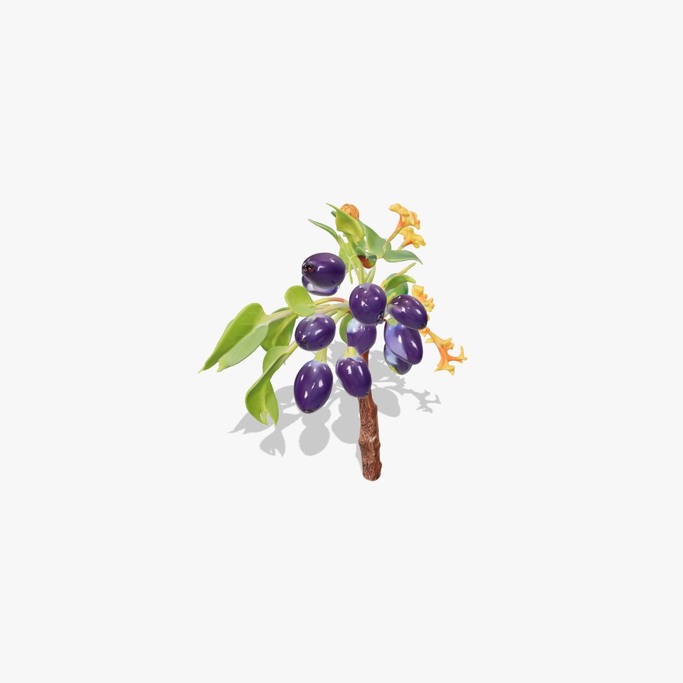 Purple Berry Plant model pack