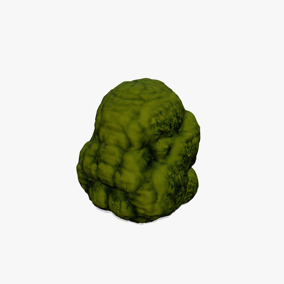 Green Mossy Texture model pack