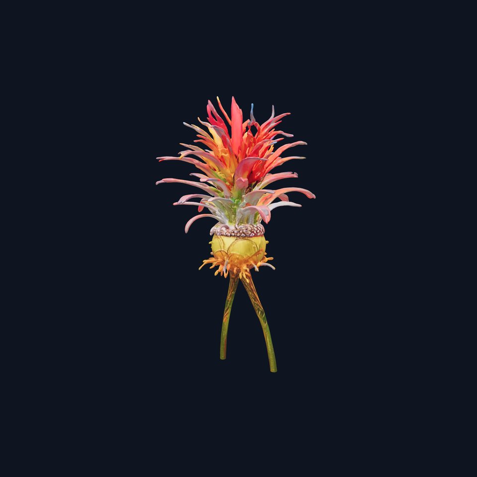 Exotic Fiery Plant model pack