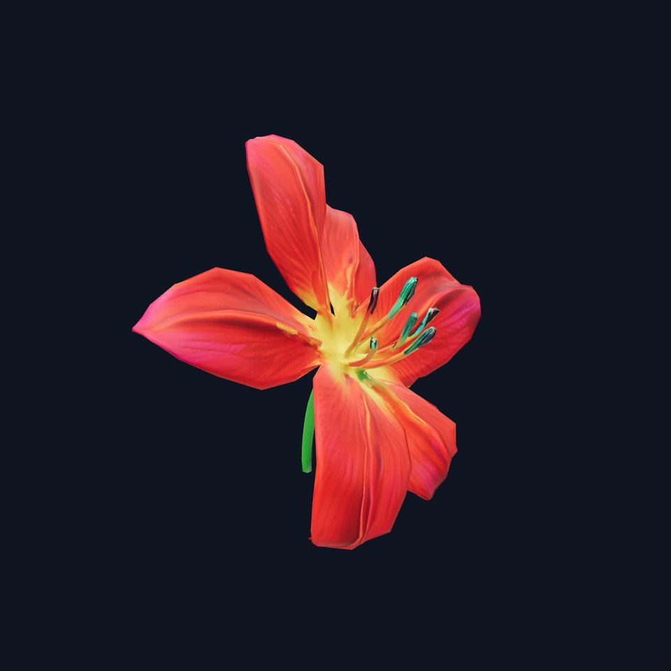 Vibrant Red Lily model pack